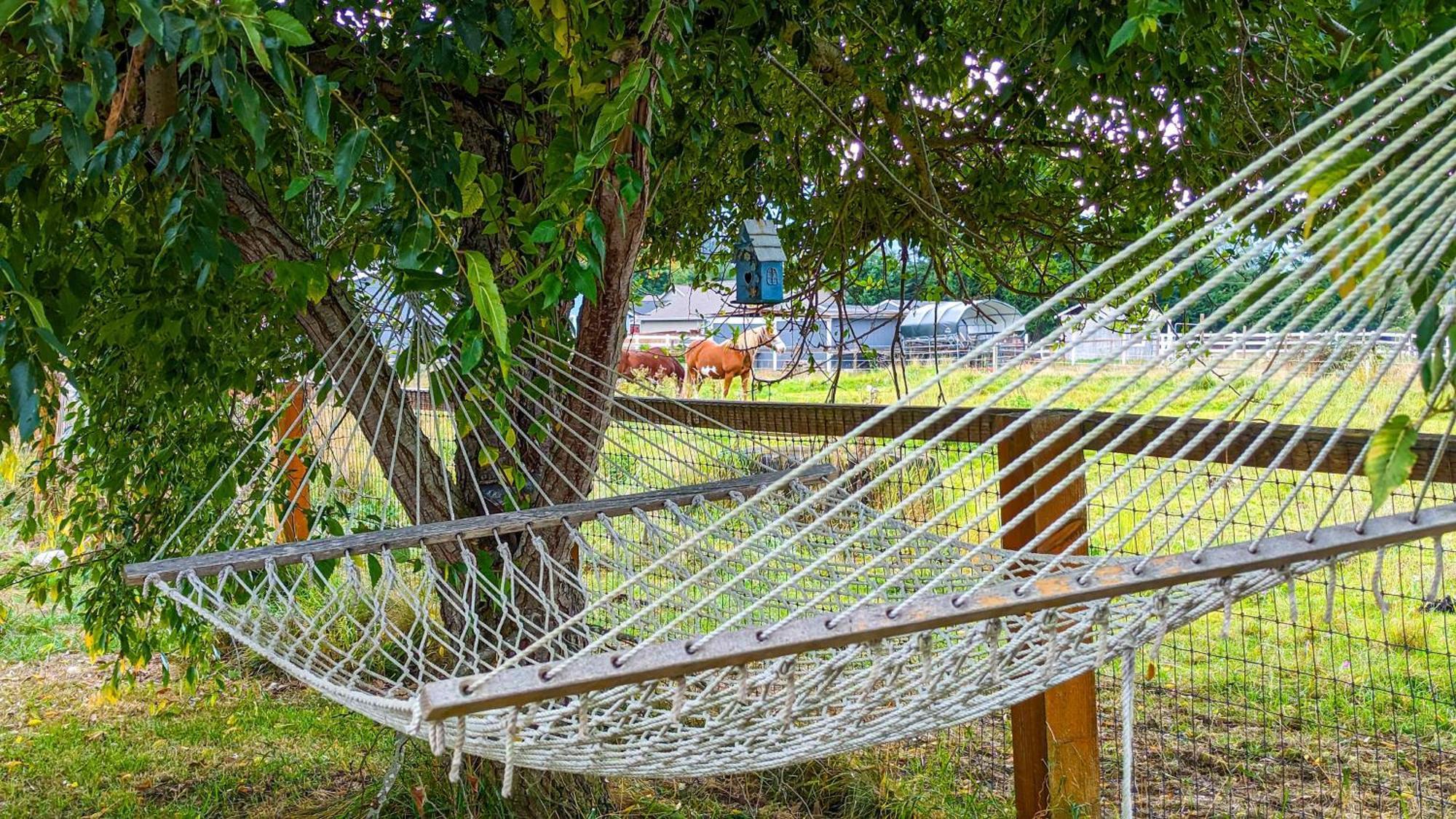 Sq Sequim Sunrise Apartment Zewnętrze zdjęcie